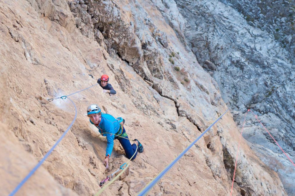 Spirit Bird © Martin Dejori