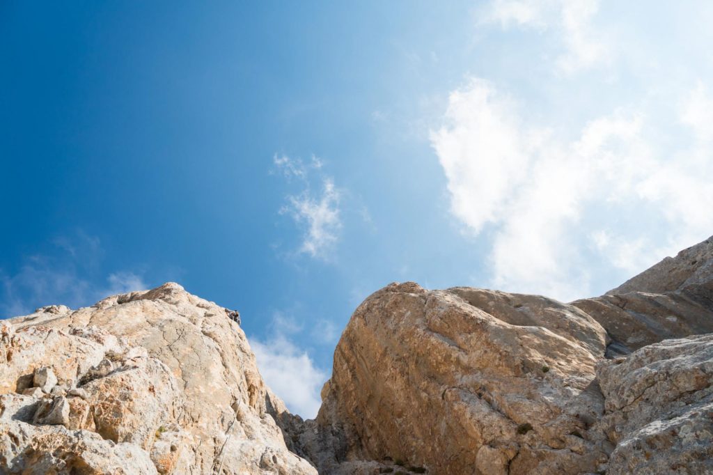 Spirit Bird © Martin Dejori