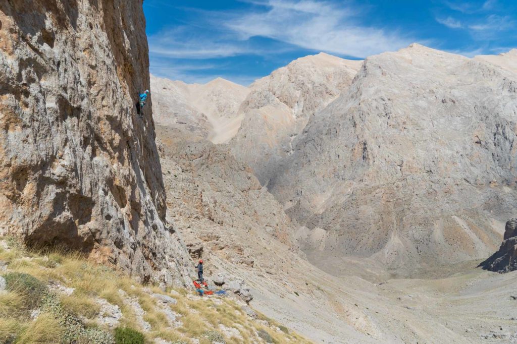 Spirit Bird © Martin Dejori