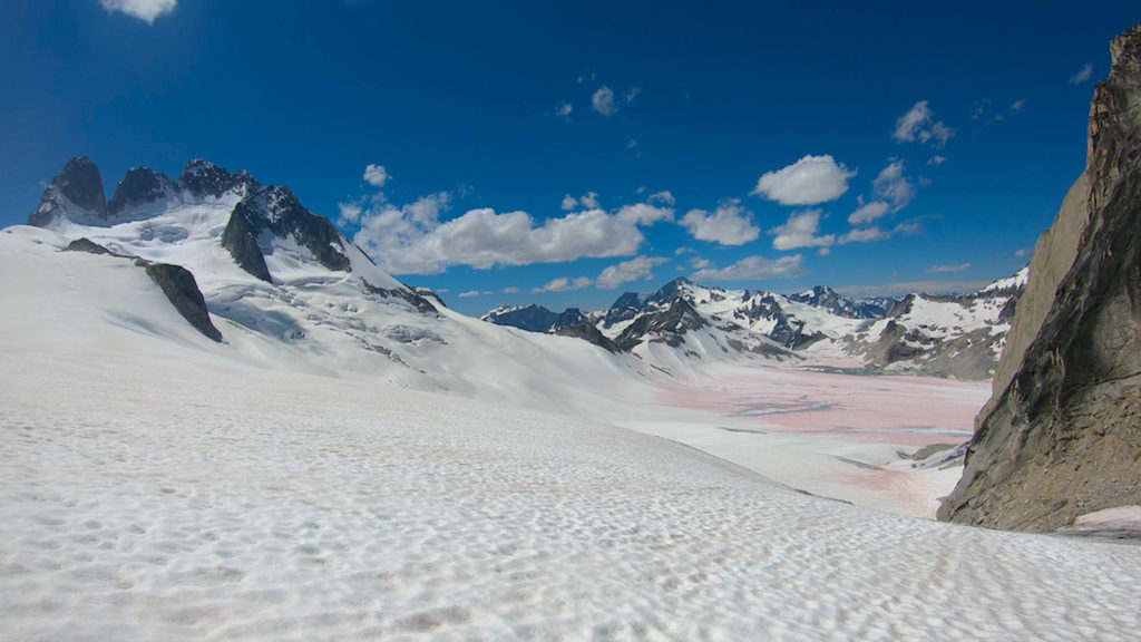 The Flying Penguin © Rieglerbrothers