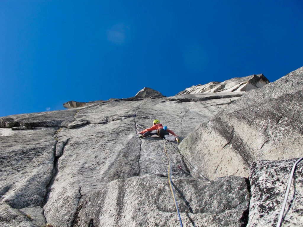 The Flying Penguin © Rieglerbrothers