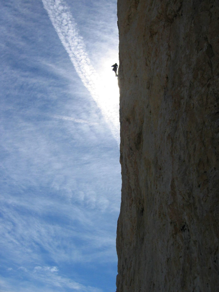 Wilde Rose © Oswald Celva