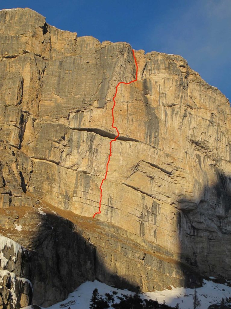 Albatros © Michael Maili