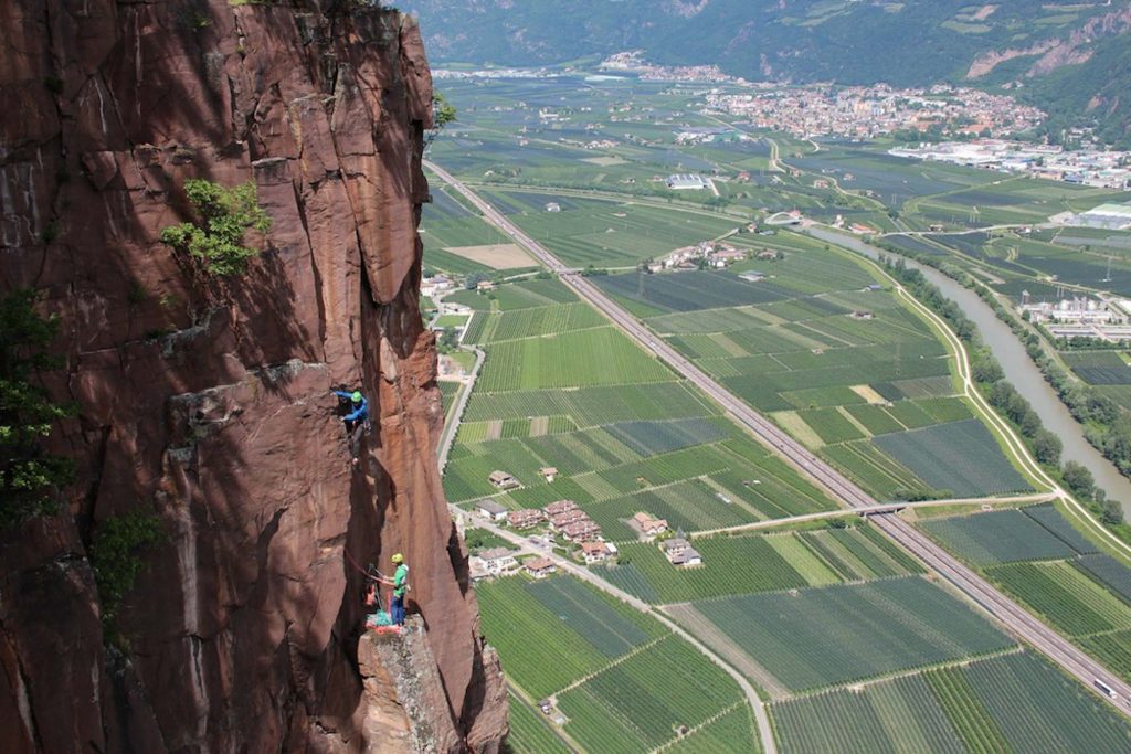 Cojote © Florian und Martin Riegler