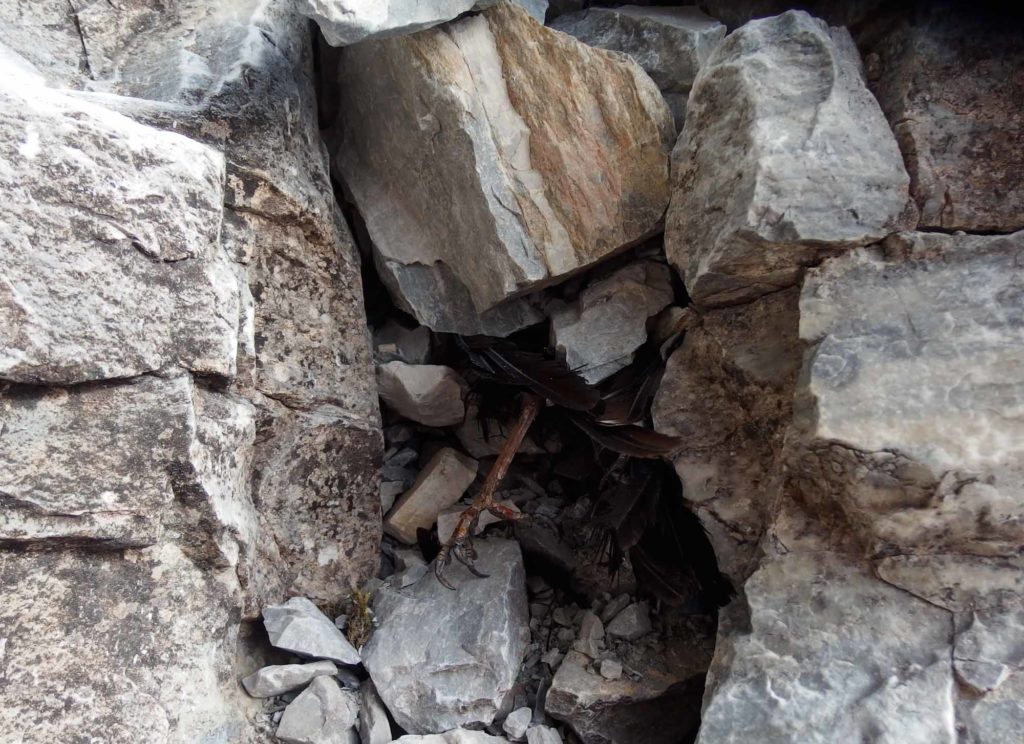 Friedenspfeiler © Hubert Eisendle und Franziska Schwärzer