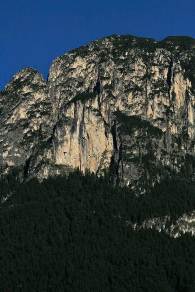 Goldfinger © Florian und Martin Riegler