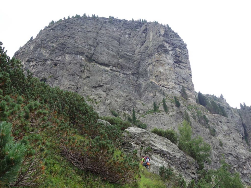 Grantnmarmelat © Armin Schwitzer und Dieter Kofler