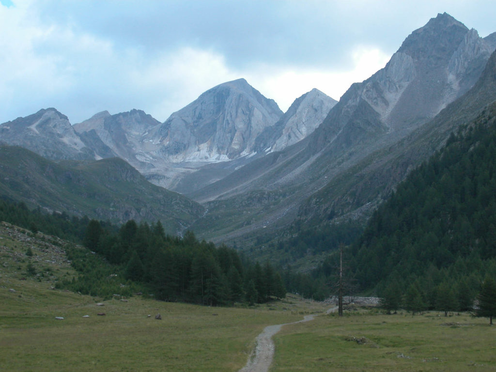 Hohe Weisse Nordwestpfeiler © Roman Hell, Felix Erlacher und Daniel Tavernini