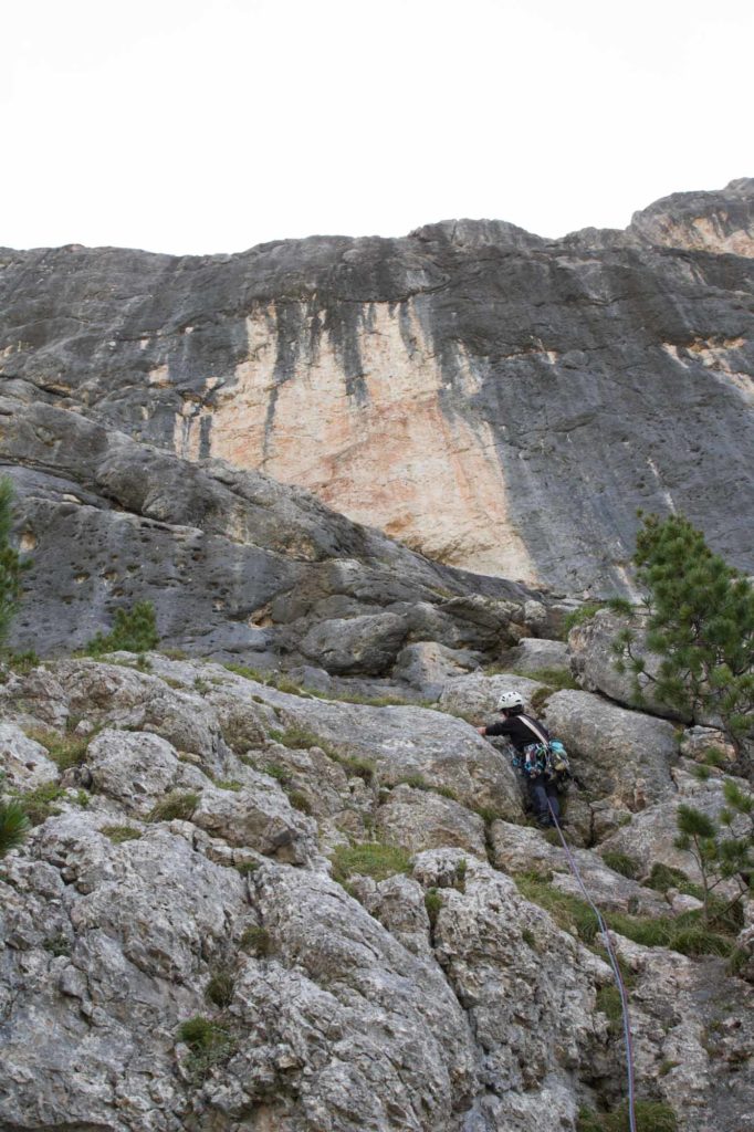 L fever © Martin Dejori