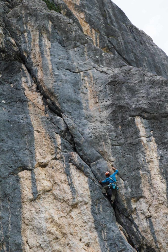 L fever © Martin Dejori