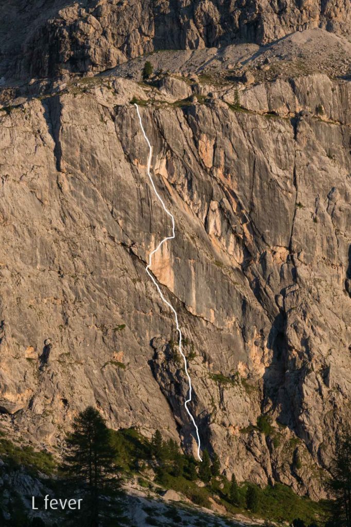 L fever © Martin Dejori