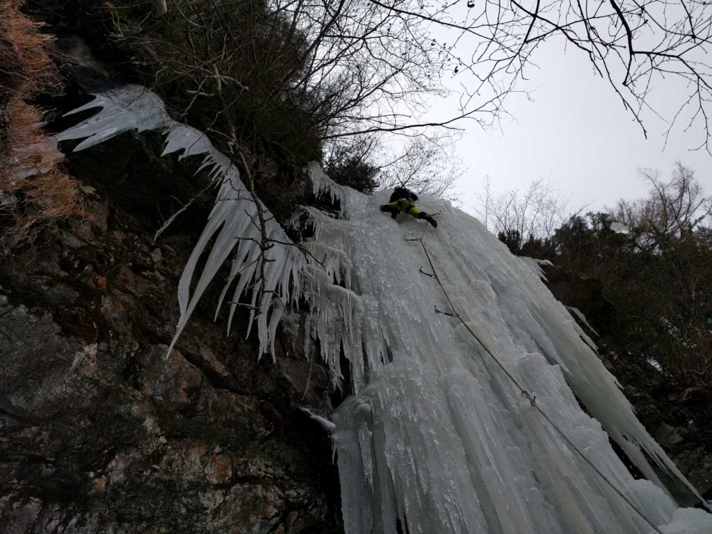 Oarnzwicker © Jonas Tatz, Günther und Dietmar Wieser
