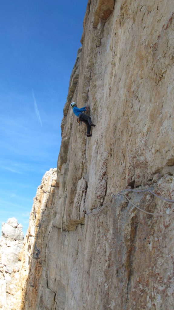 Wüstenblume © Josef Hilpold und Ulrich Viertler