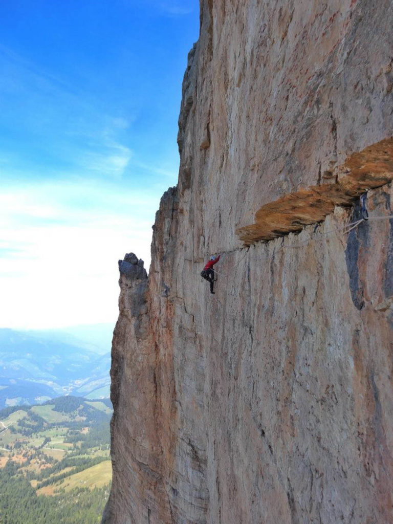 Wüstenblume © Josef Hilpold und Ulrich Viertler