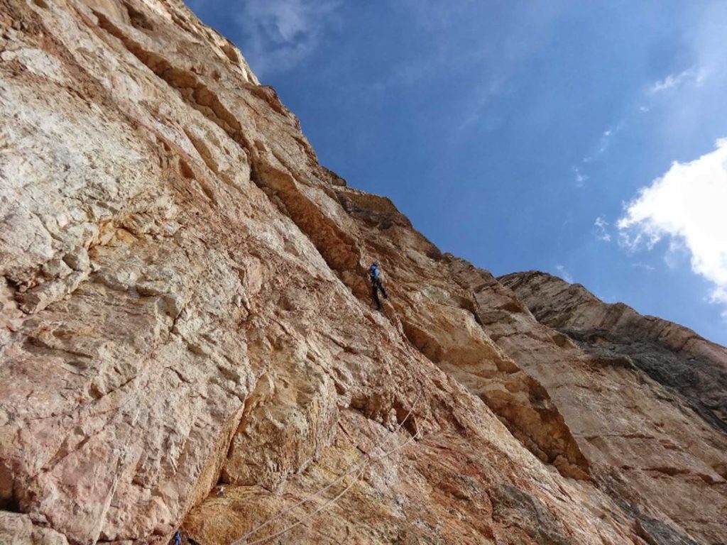 Wüstenblume © Josef Hilpold und Ulrich Viertler