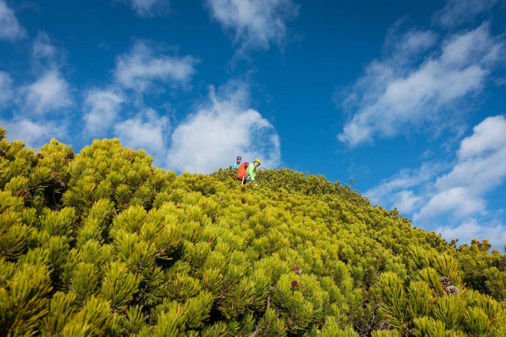 Guardiano dei sogni © Martin Dejori, Alex Walpoth und Titus