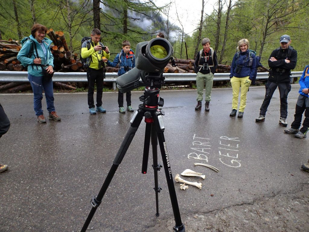 Gruppe auf Beobachtungsposten |(c)Judith Egger