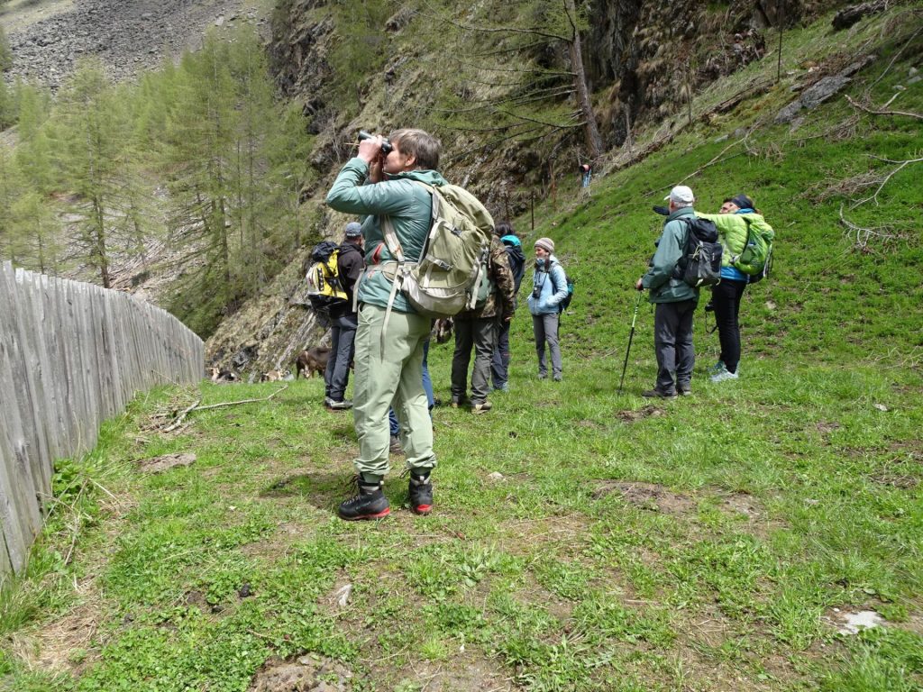 Am Beobachtungsposten |(c)Judith Egger