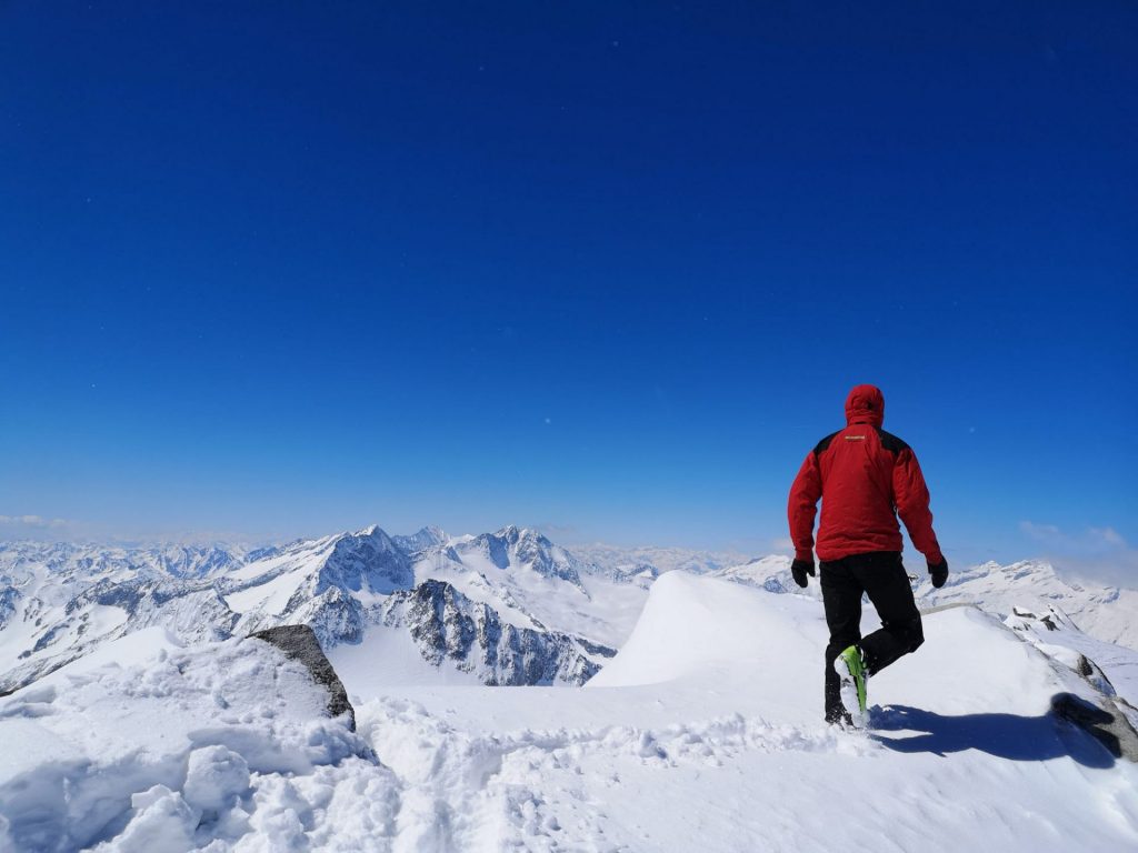 Cojote(c)AndreaWisthaler