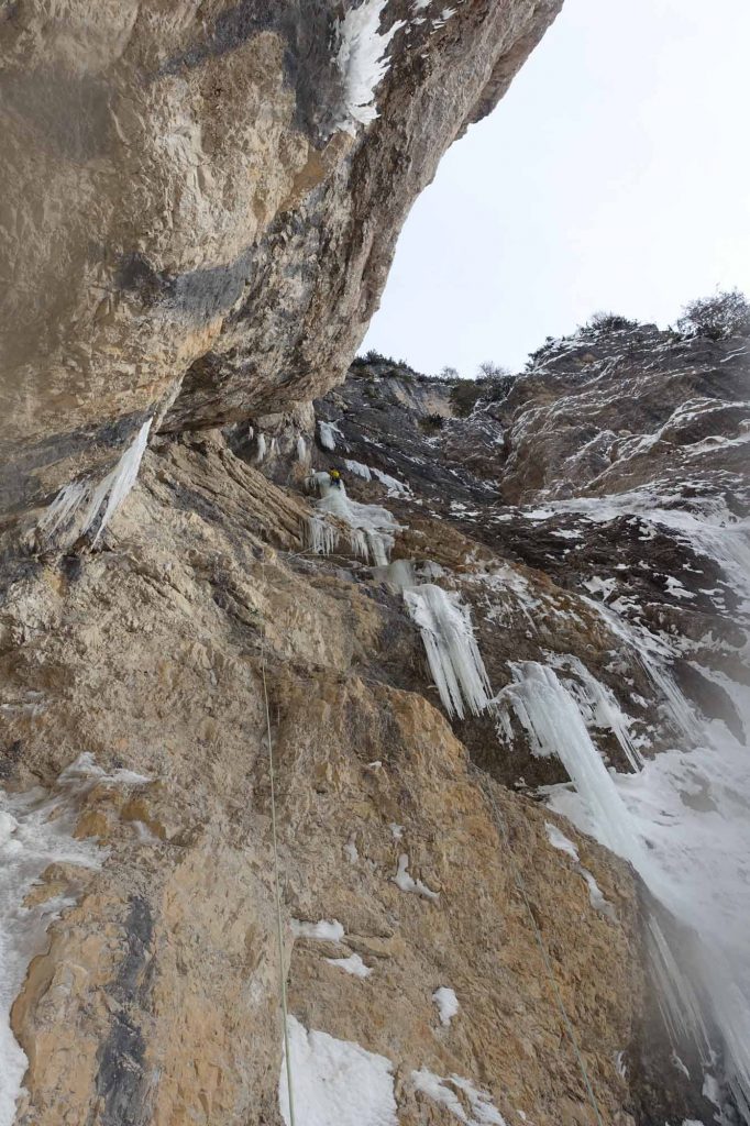 Surprise © Manuel und Martin Baumgartner