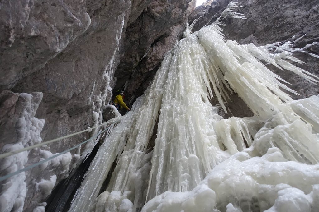 Surprise © Manuel und Martin Baumgartner