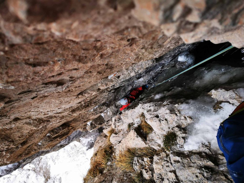 Surprise © Manuel und Martin Baumgartner