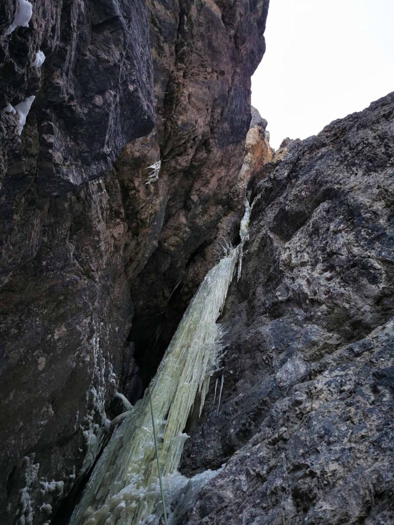 Surprise © Manuel und Martin Baumgartner