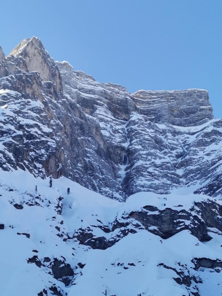 Zahnlos © Manuel Baumgartner und Daniel Töchterle