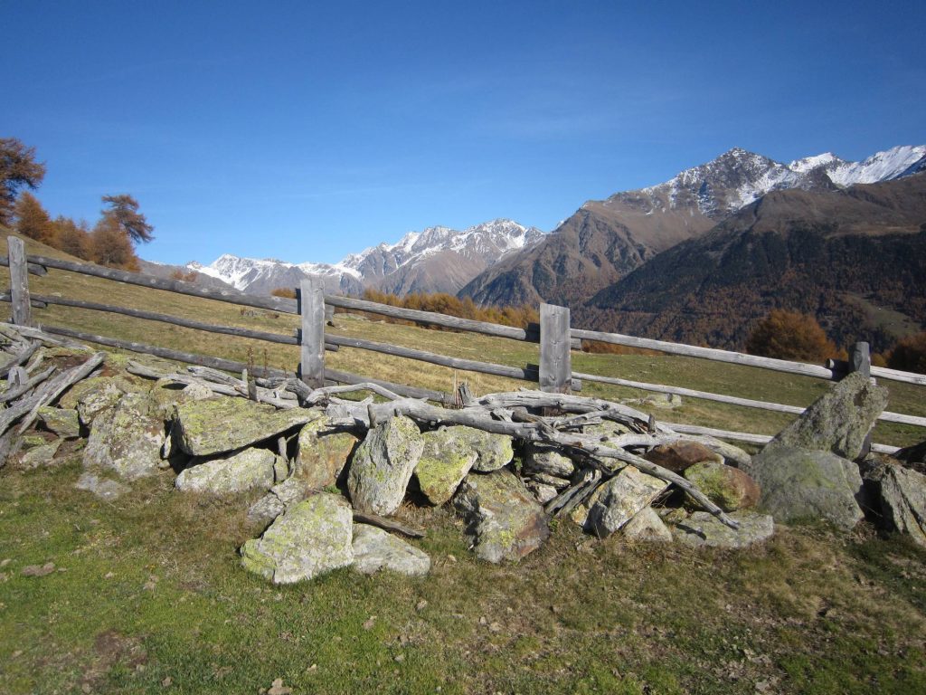 Spitzige_Lun I Berge erleben © Karin Leichter