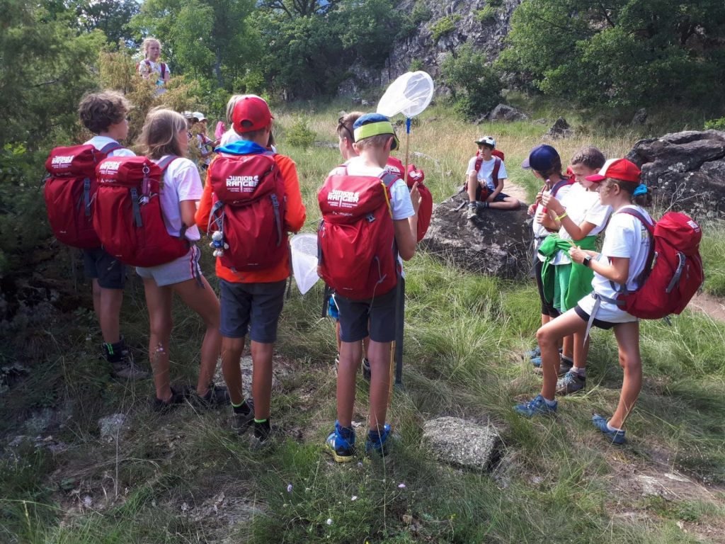 Naturpark Junior Ranger I (c) Ralf Pechlaner I AVS