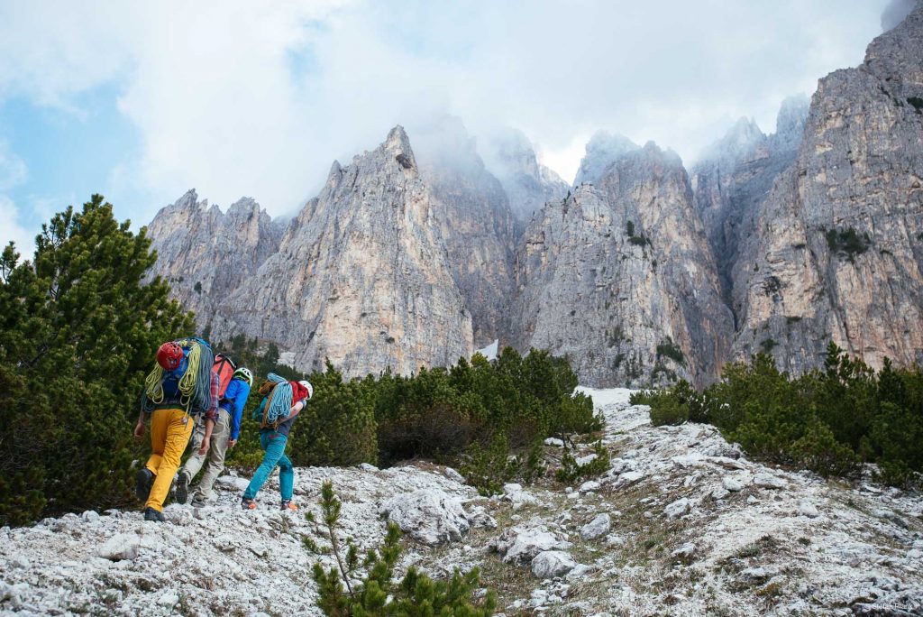 Kaffee und Kuchen © Plank Stefan