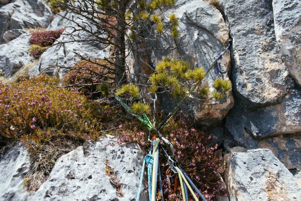 Kaffee und Kuchen © Plank Stefan