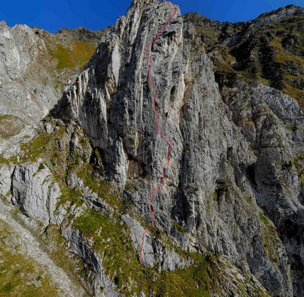 Beluga © Roland Stricker