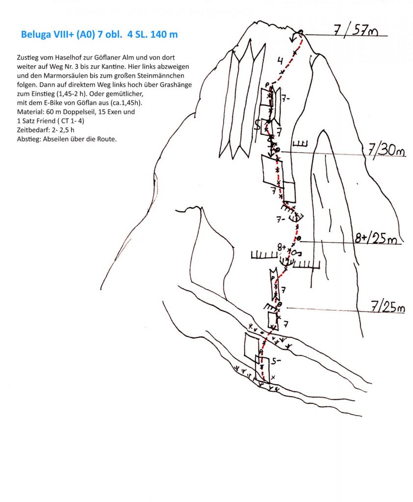 Beluga Topo © Roland Stricker