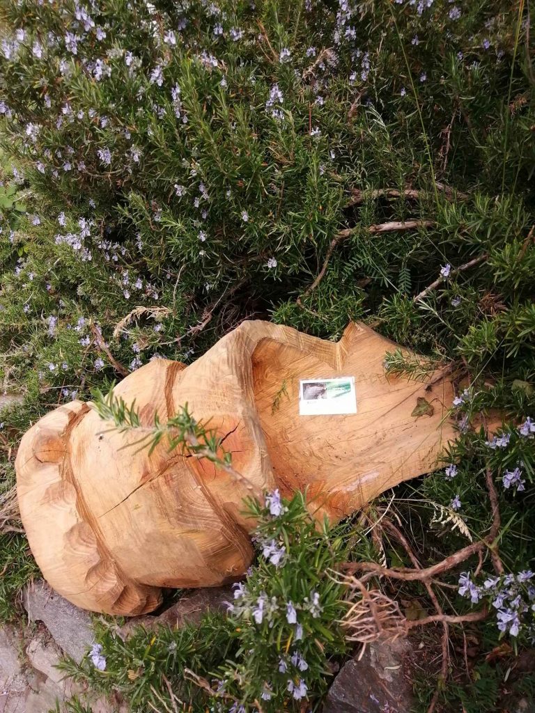 Holzskulptur Kronkorken I(c)Amt für Natur