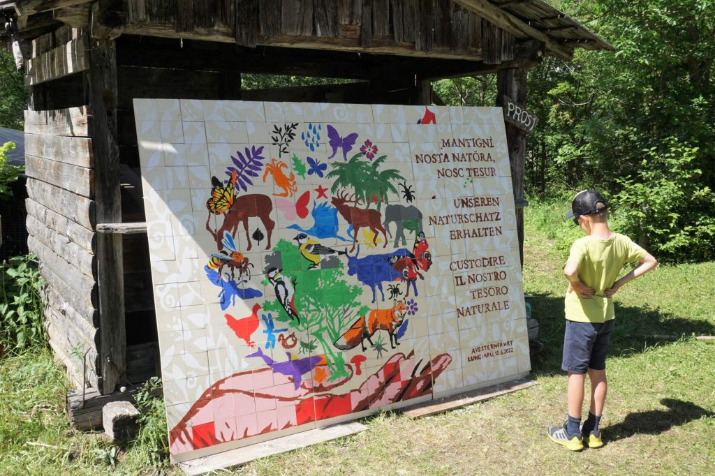 AVS Sternfahrt I (c)Michael Masoner I AVS