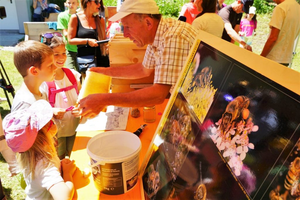 AVS Sternfahrt_(c)Ralf Pechlaner (4)