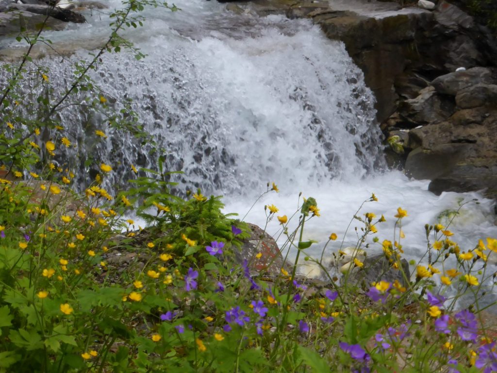 Bachlauf I(c)Zenzi Martin