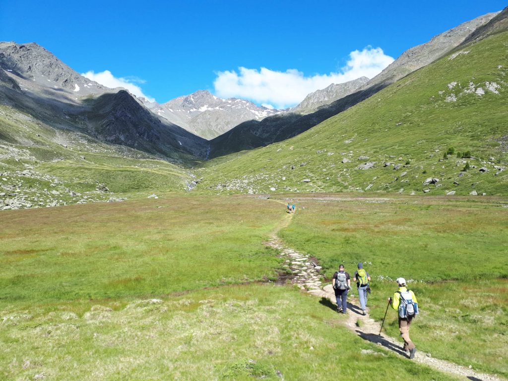 Madritschtal I(c)Zenzi Martin