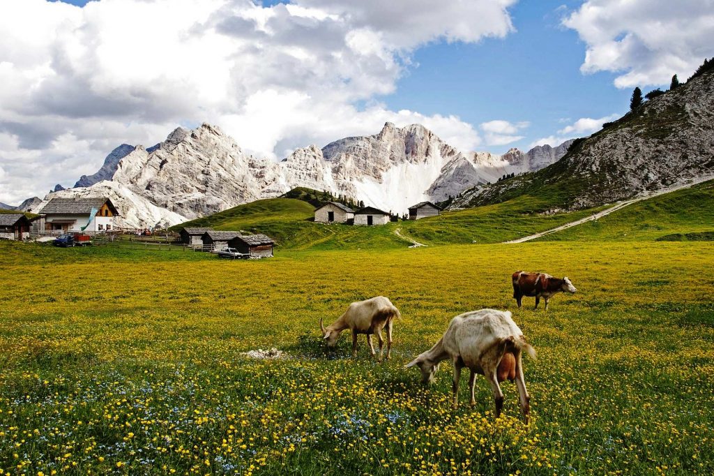 Hochalm_Fojedöra_(c)_Paolo_Erlacher_Lia_dai_Crep_Mareo