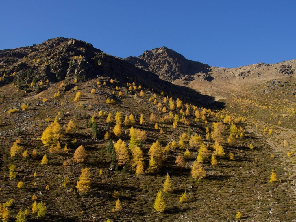 Upikopf_(c)_Helga_Toll_alpenvereinaktiv