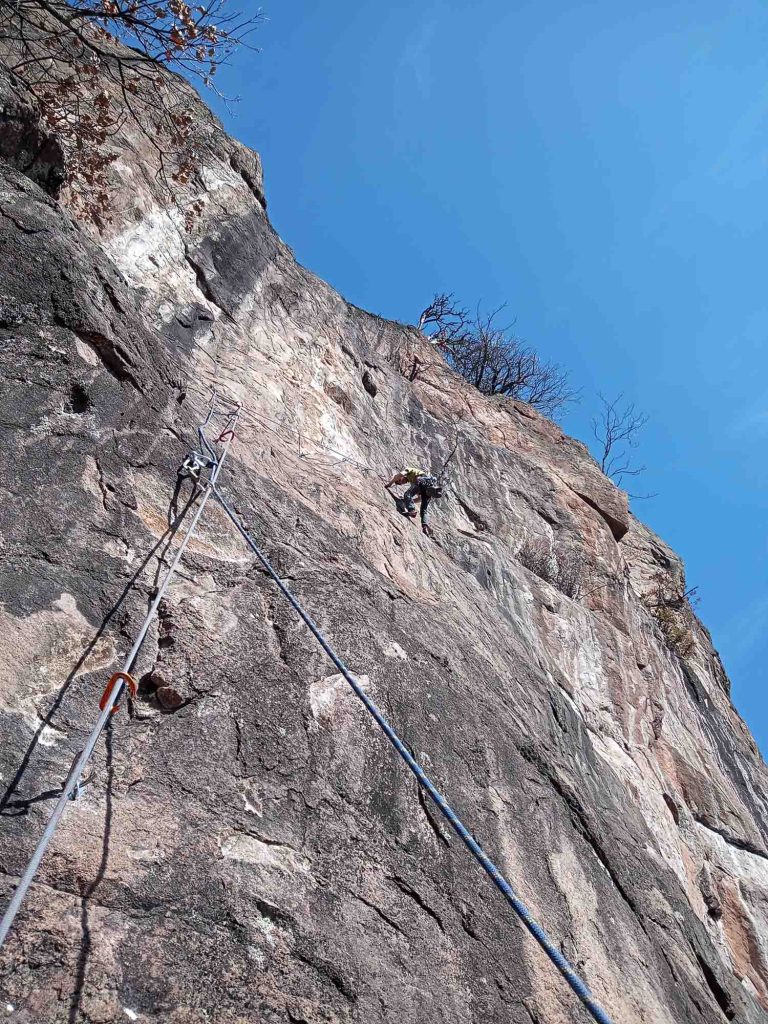 Il canto delle poiane © Dennis Moser und Michele Caminati