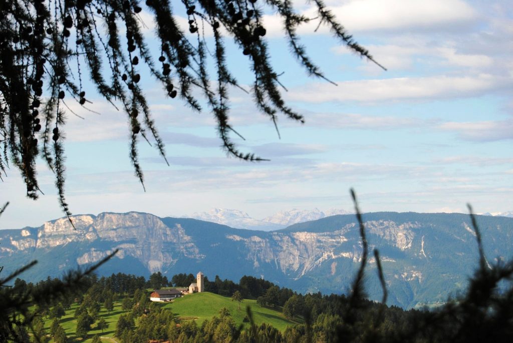 Langfenn_(c)_Martin_Plattner_AVS_Mölten