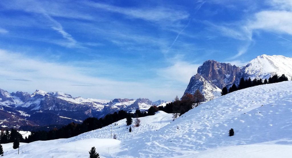 Langkofel | (c)Prisca Prugger | AVS 2022