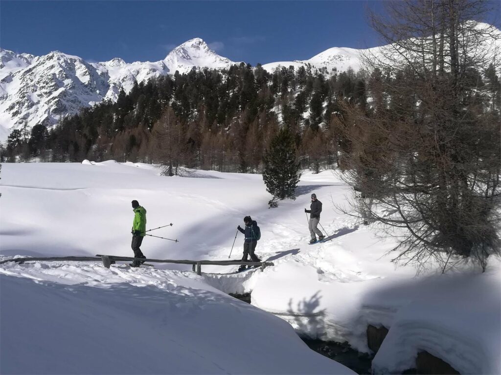 Berglalm_TV Schnalstal_Dietmar_Weithaler