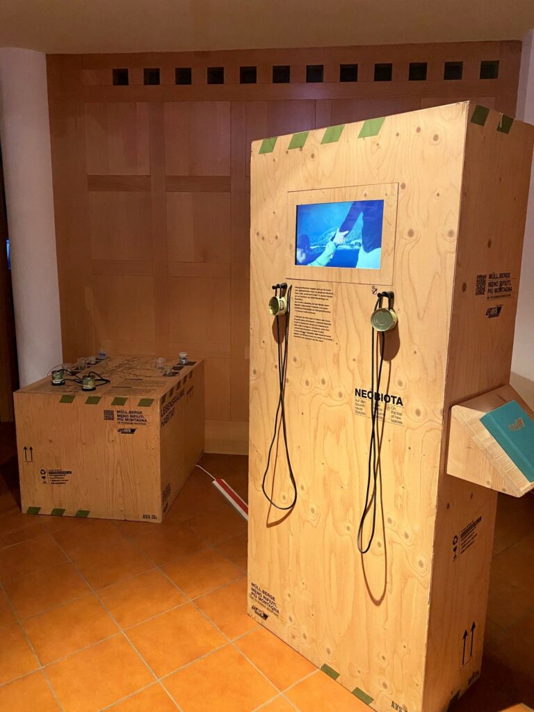 Neobiota Rathaus Montan Monitor I(c)Matthias Tschöll
