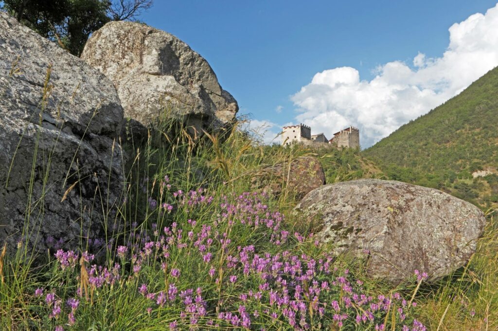 Blick auf die Burgruine Obermontani (c) Vinschgau Marketing, Frieder Blickle