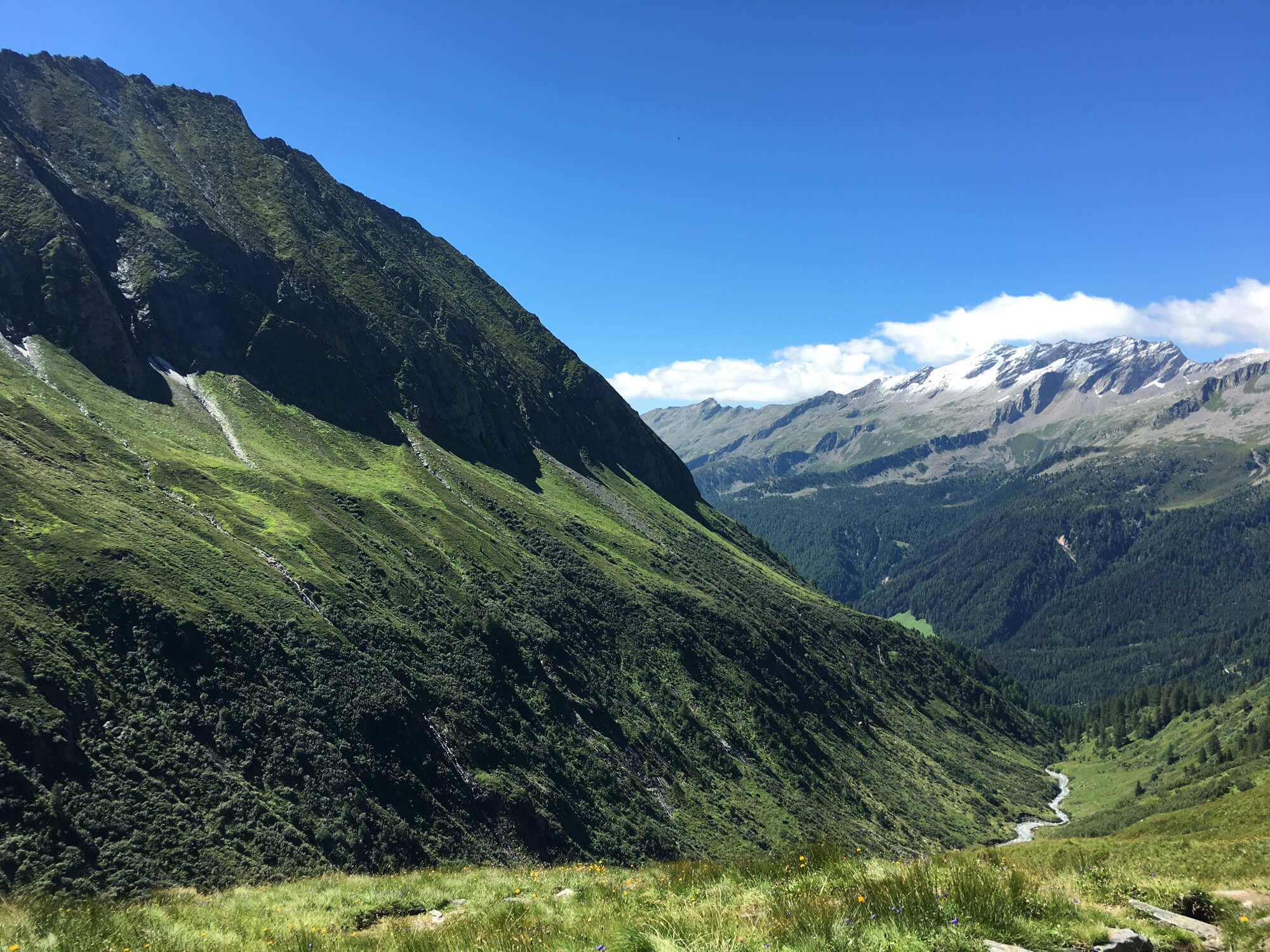 Unterstütze unsere 3 Forderungen zum Klimaplan Südtirol!