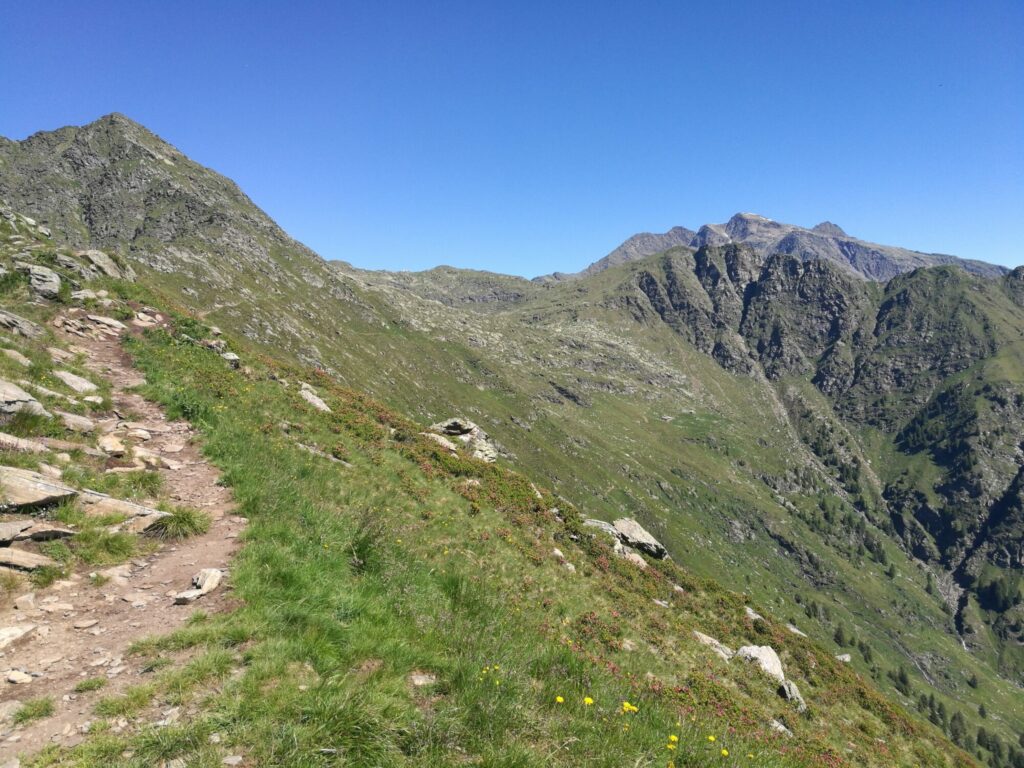 Hochwart (c)Rupert_Obkircher_alpenvereinaktiv