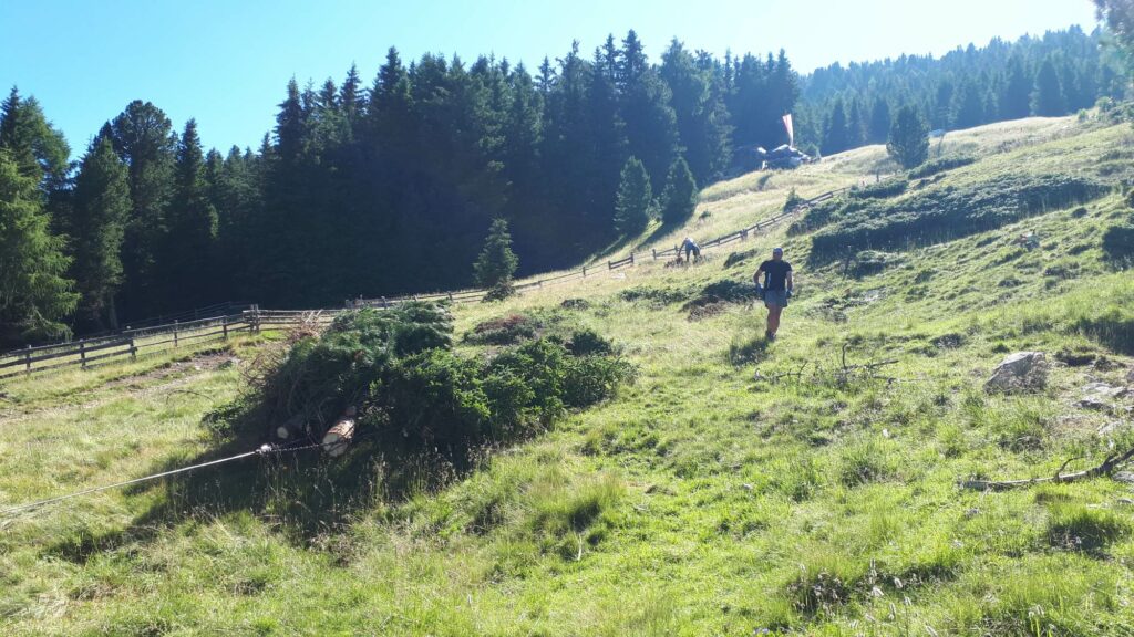 Almpflegeaktion Brunnerwiesen Alm_Bäume entfernt | (c) Paul Oberhammer AVS